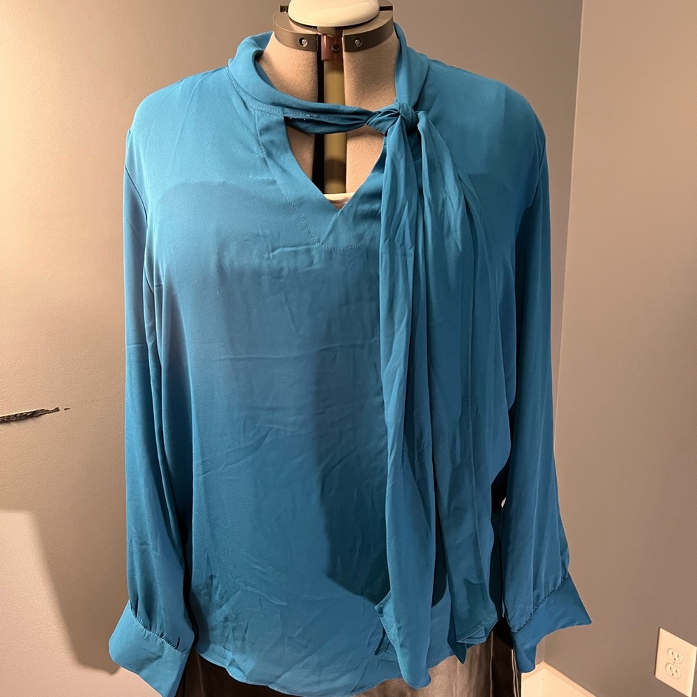 Sheer Teal Top